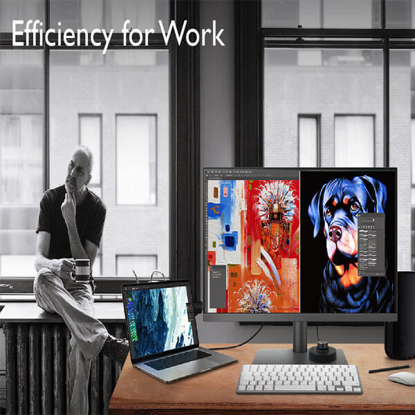 BenQ PD2700Q 27 Inch Designer Monitor